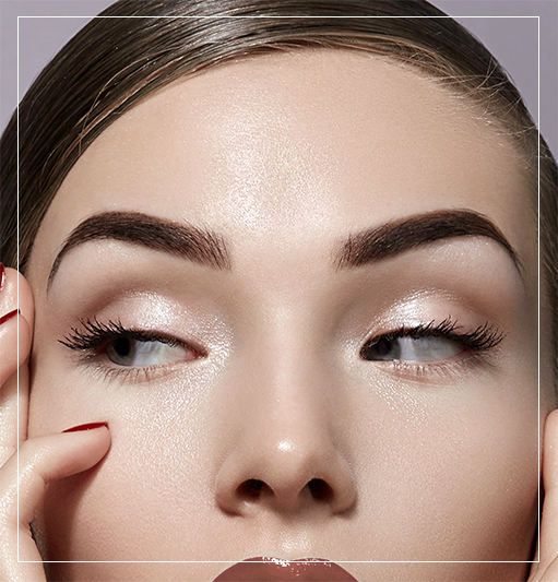 Nanobrow: La mejor opción Nanobrow: La mejor opción